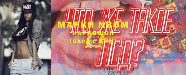 прущий лед Алзамай