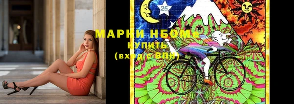прущий лед Алзамай